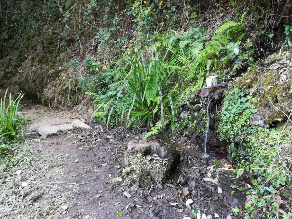Quinta Da Portelada Peso da Régua Eksteriør billede