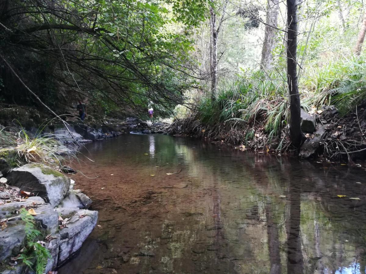 Quinta Da Portelada Peso da Régua Eksteriør billede