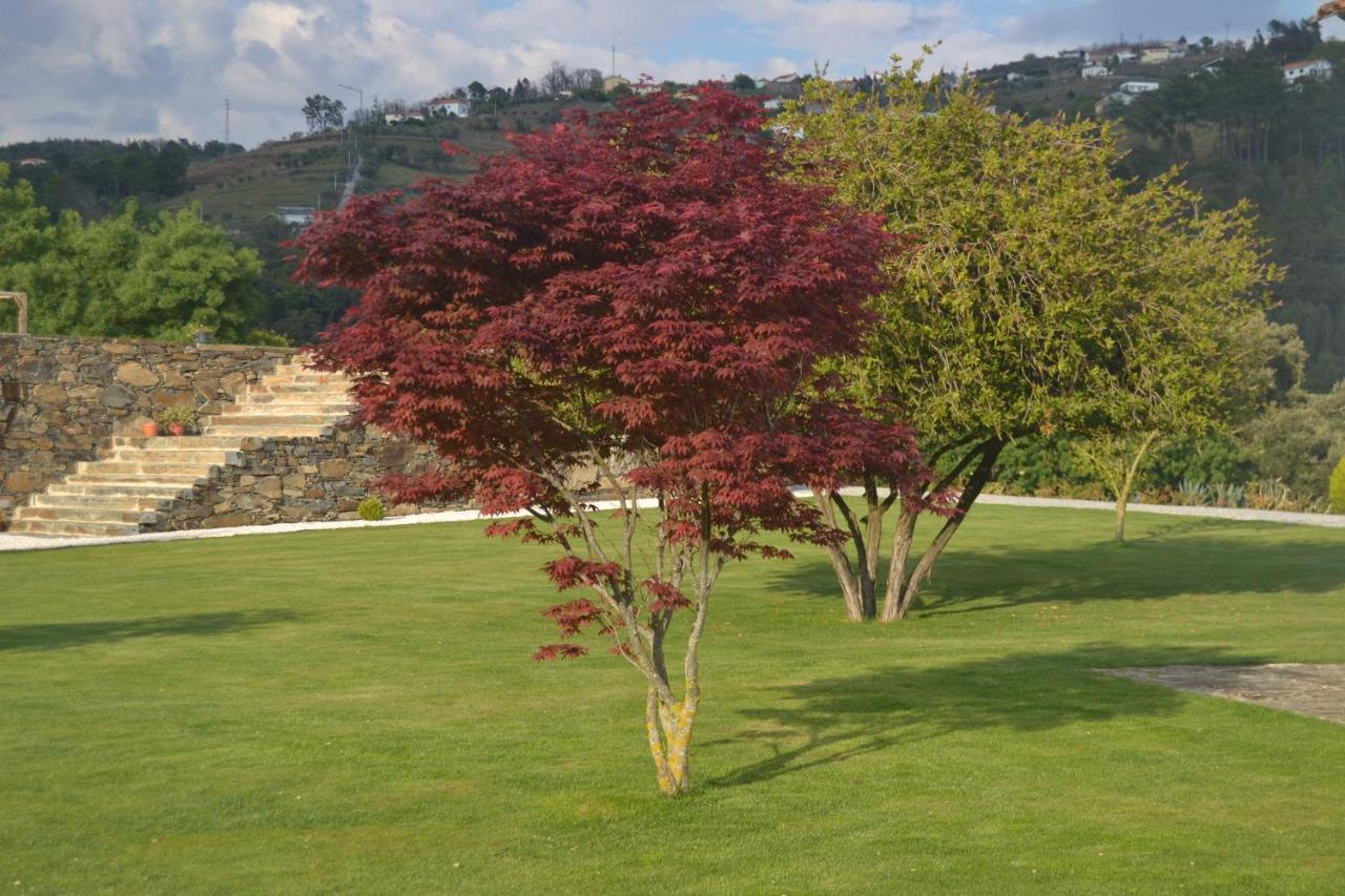Quinta Da Portelada Peso da Régua Eksteriør billede