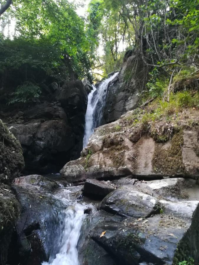Quinta Da Portelada Peso da Régua Eksteriør billede