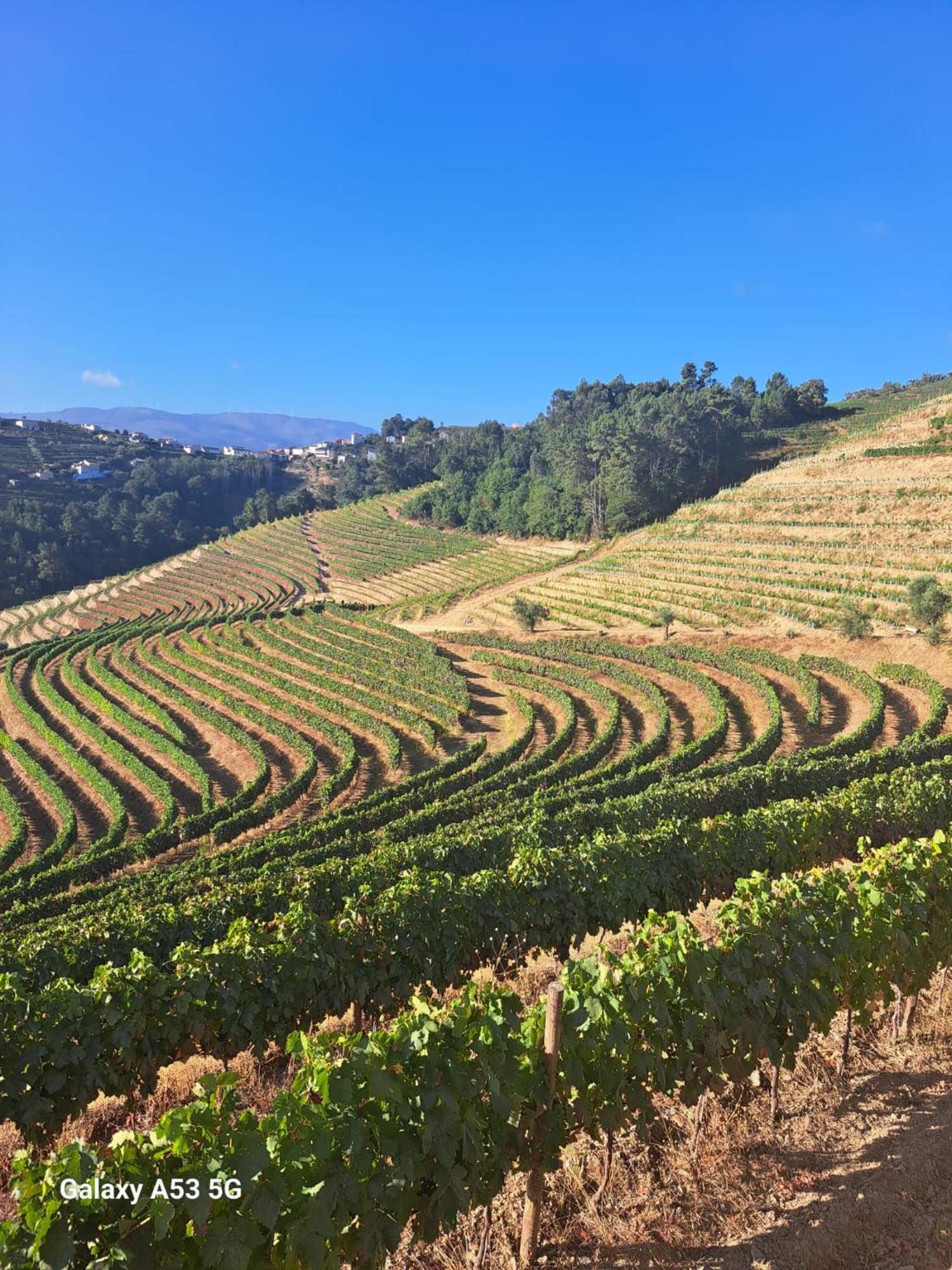 Quinta Da Portelada Peso da Régua Eksteriør billede