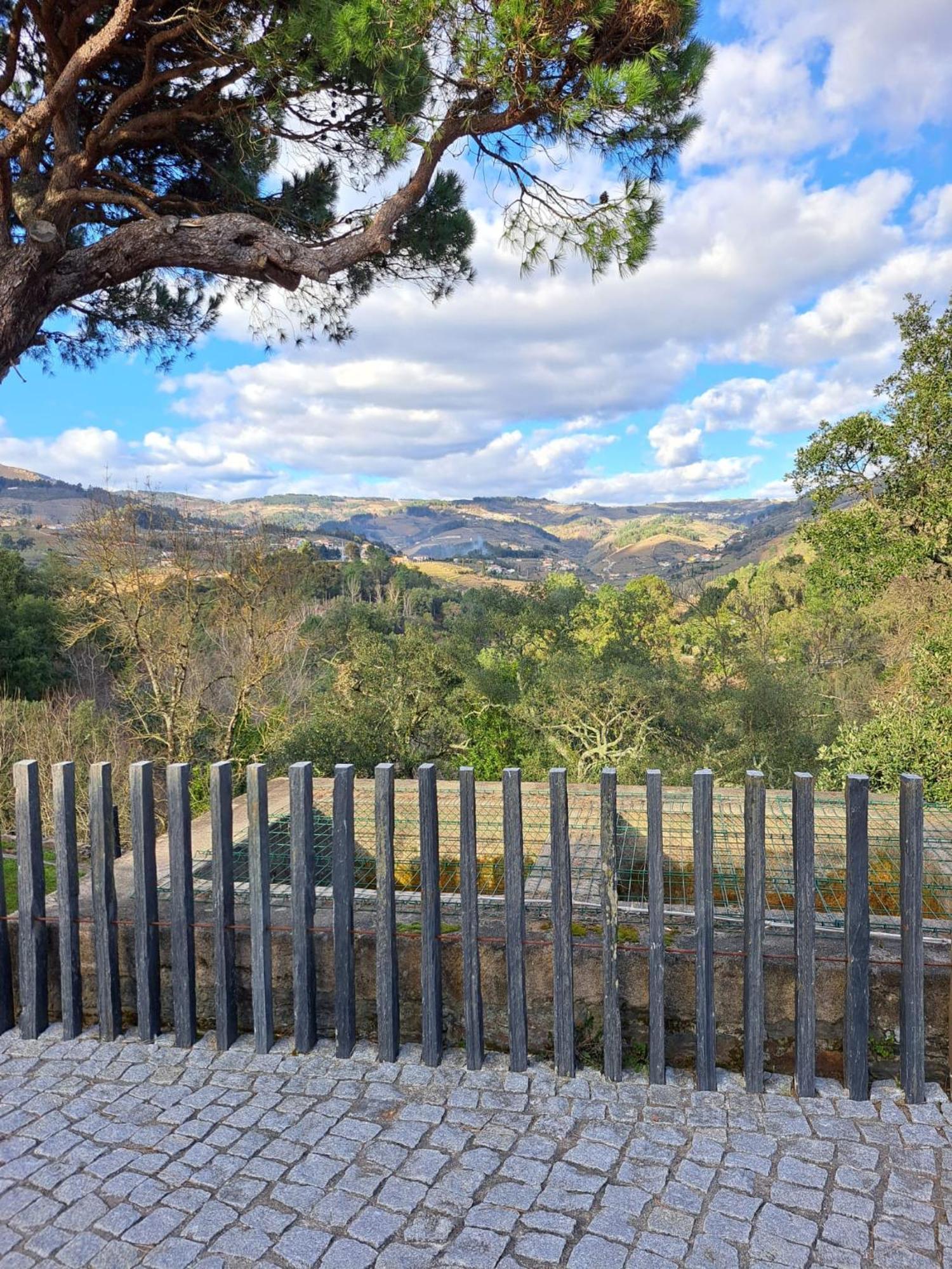 Quinta Da Portelada Peso da Régua Eksteriør billede