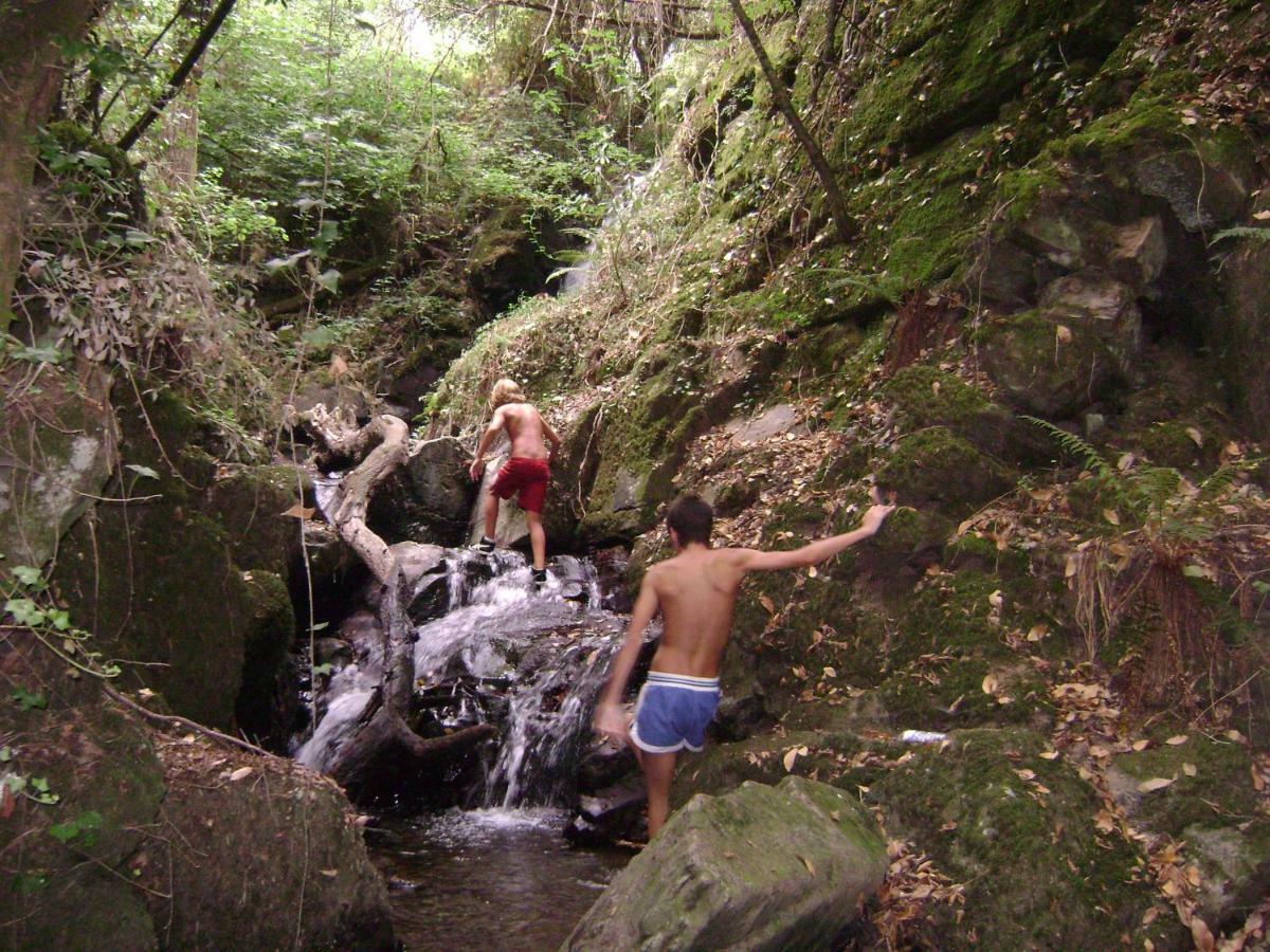 Quinta Da Portelada Peso da Régua Eksteriør billede